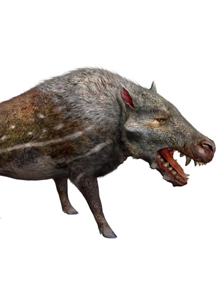 Archaeotherium photo