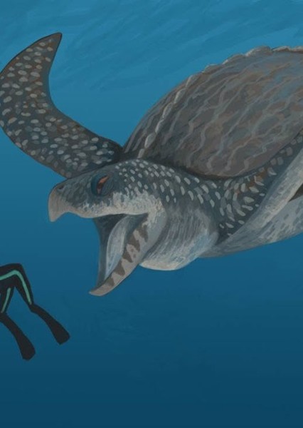 Archelon photo