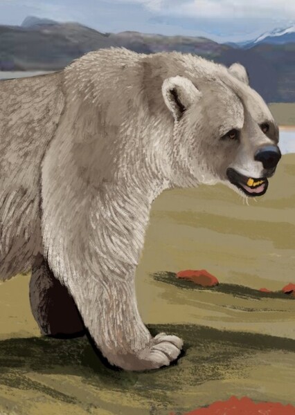 Arctotherium photo