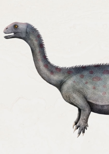 Arcusaurus