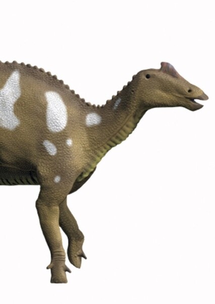 Arenysaurus