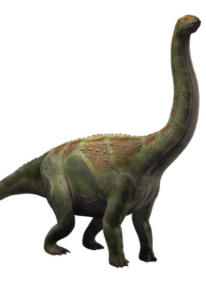 Argentinosaurus photo