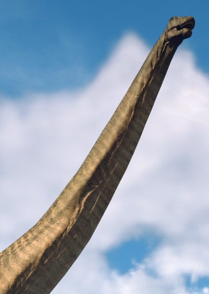 Argentinosaurus photo