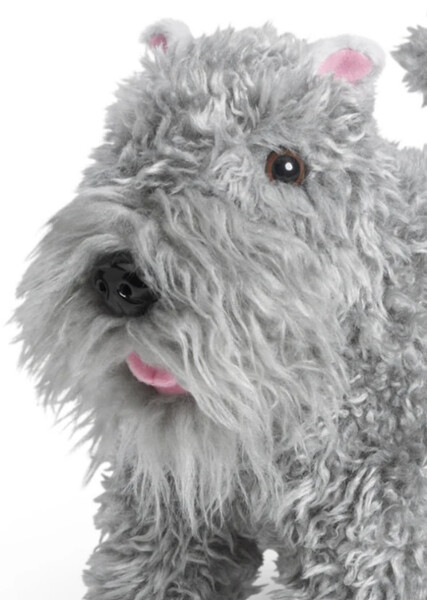 Argos (American Girl) photo