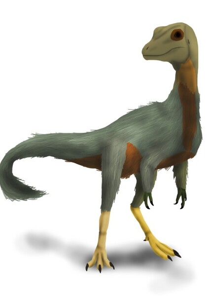 Aristosuchus