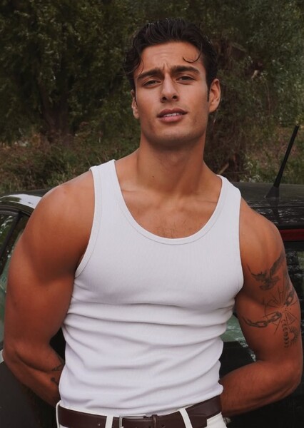 Ariyan Akaltun