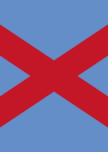 Army Comrades Association (Blueshirts)