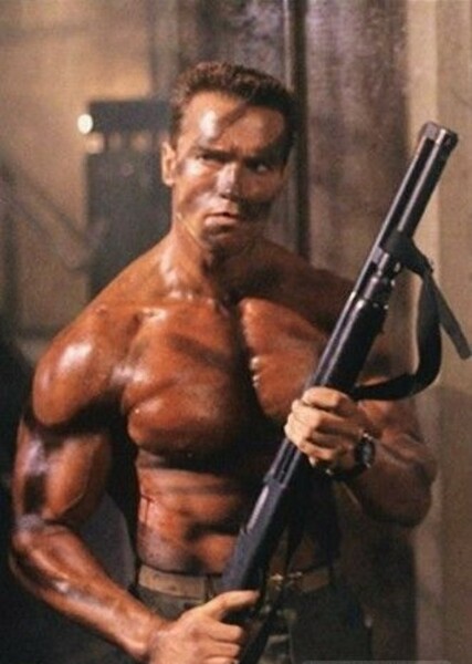 Arnold Schwarzenegger