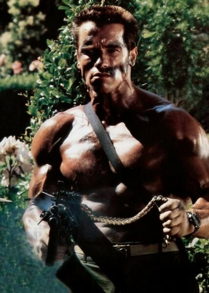Arnold Schwarzenegger photo