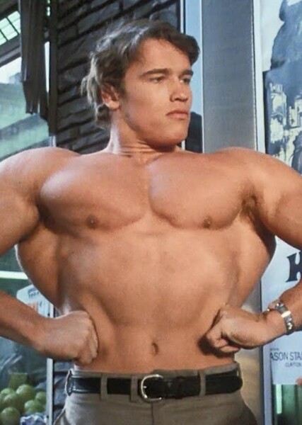 Arnold Schwarzenegger photo