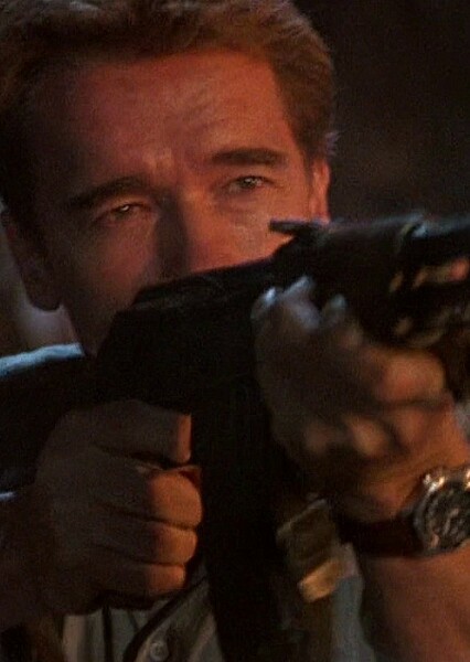 Arnold Schwarzenegger photo