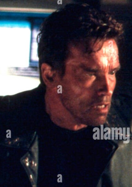 Arnold Schwarzenegger photo