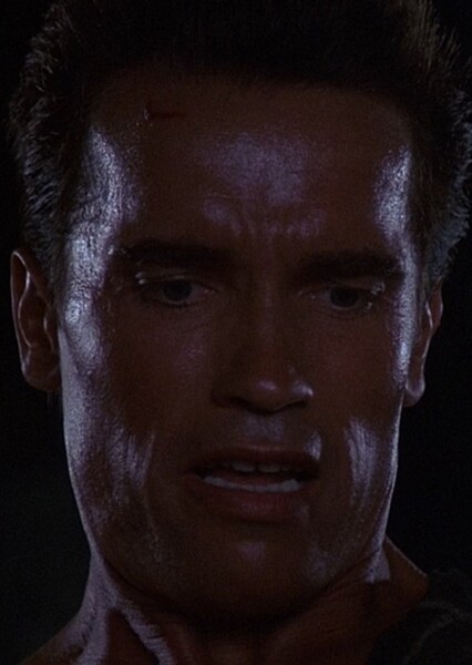 Arnold Schwarzenegger photo