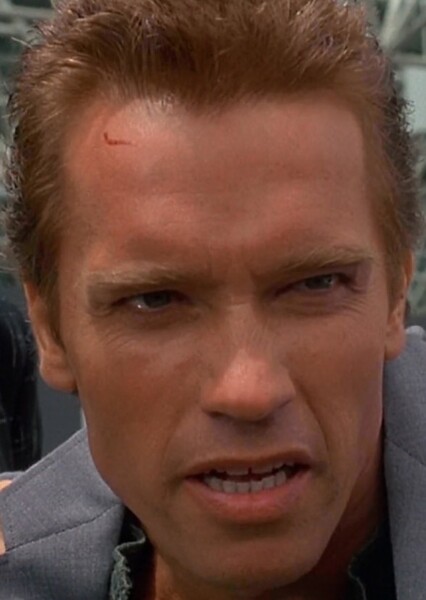 Arnold Schwarzenegger photo