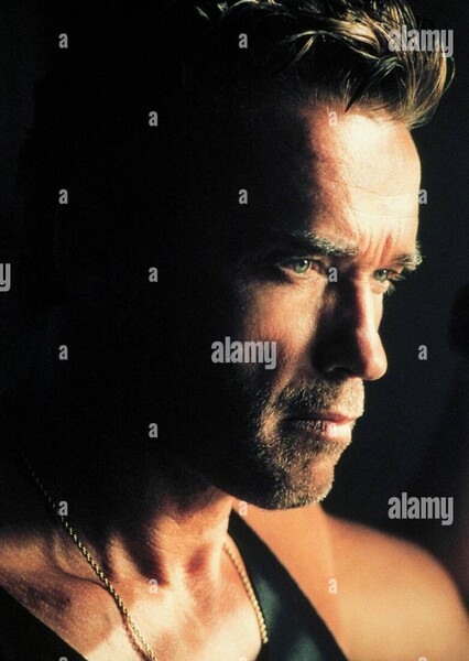 Arnold Schwarzenegger photo