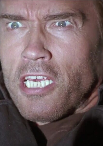 Arnold Schwarzenegger photo