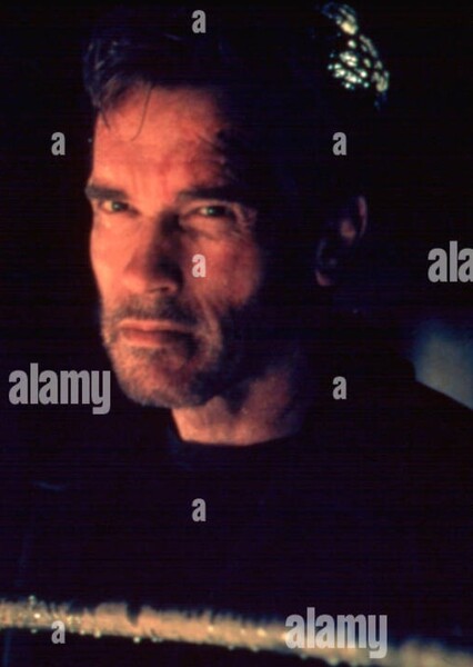 Arnold Schwarzenegger photo