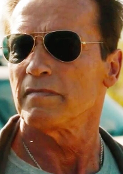 Arnold Schwarzenegger photo