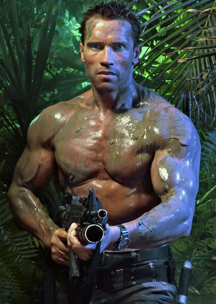 Arnold Schwarzenegger photo