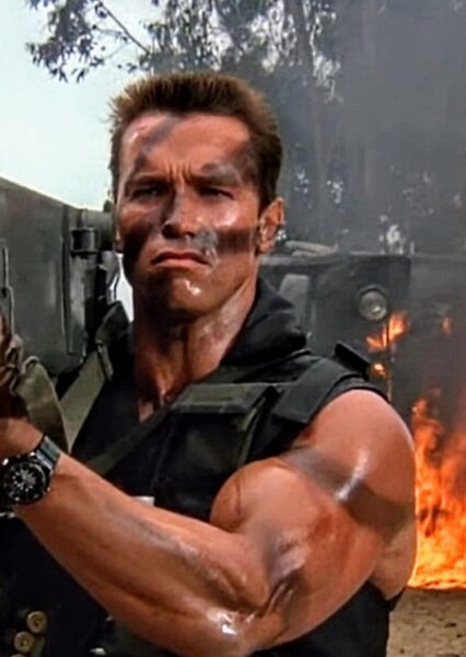 Arnold Schwarzenegger photo