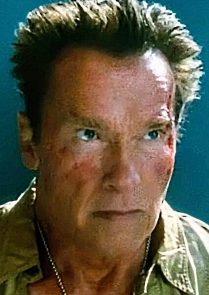 Arnold Schwarzenegger photo