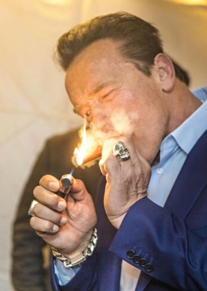 Arnold Schwarzenegger photo