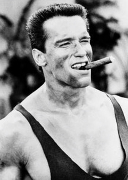 Arnold Schwarzenegger photo