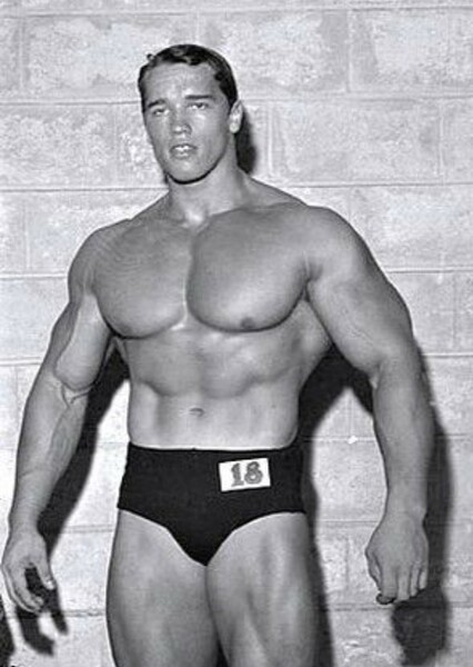 Arnold Schwarzenegger photo