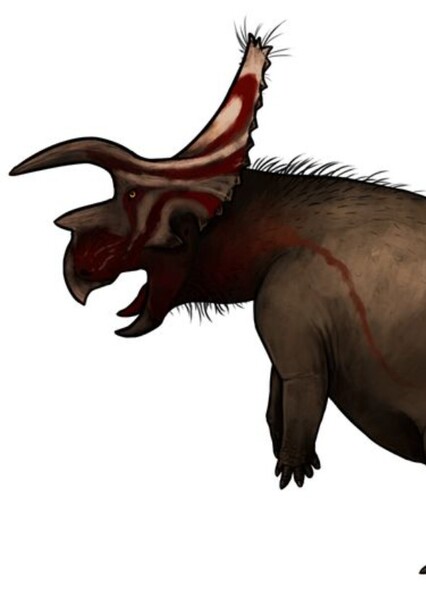 Arrhinoceratops photo