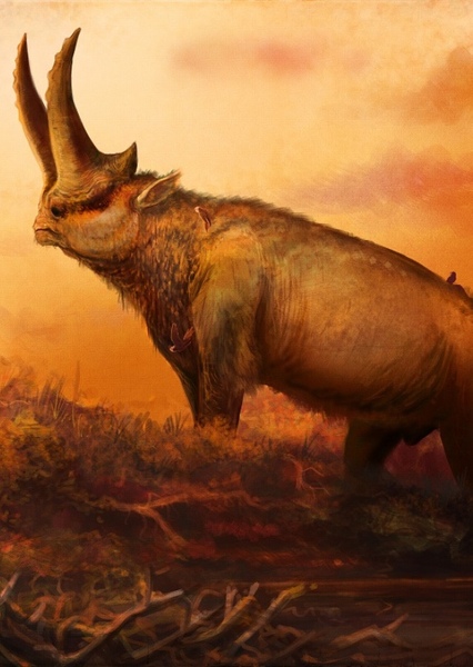 Arsinoitherium photo