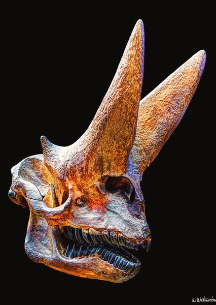 Arsinoitherium photo