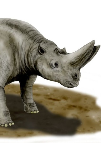 Arsinoitherium photo