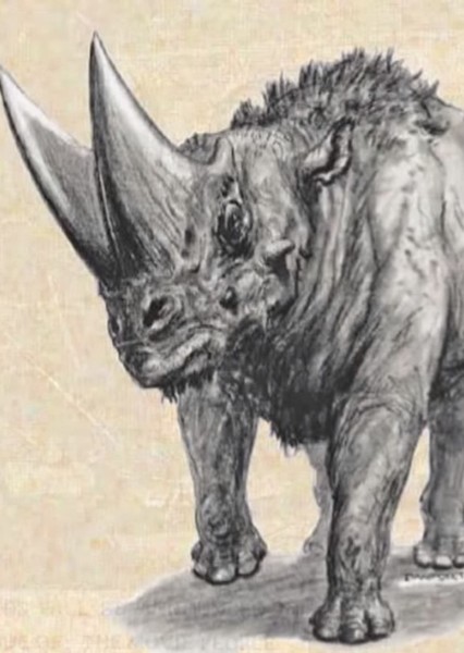 Arsinoitherium photo