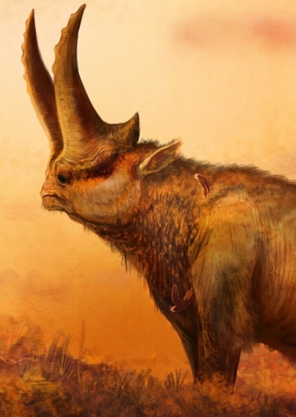 Arsinotherium photo