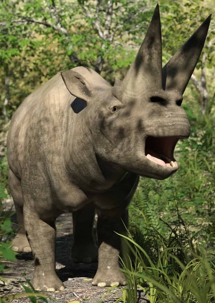 Arsinotherium photo