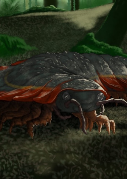 Arthropleura photo