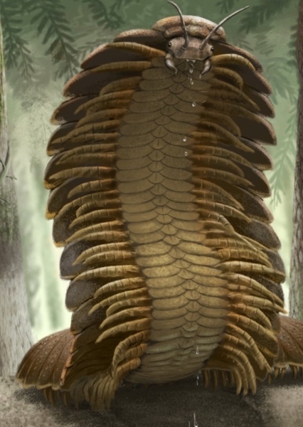 Arthropleura photo