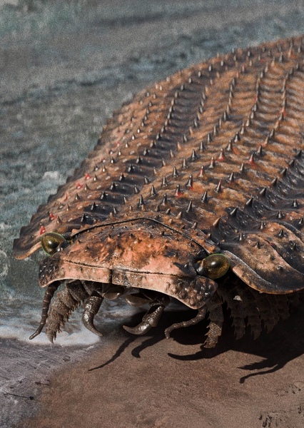 Arthropleura photo