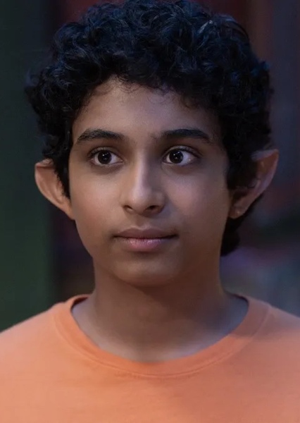 Aryan Simhardi