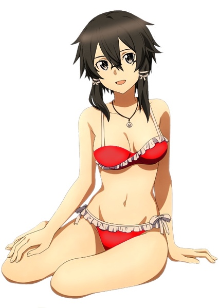 Asada Shino/Sinon photo