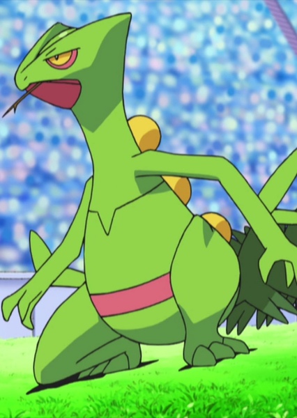 Ash's Sceptile