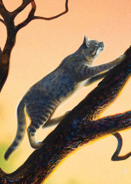 Ashfur (Warrior Cats) photo