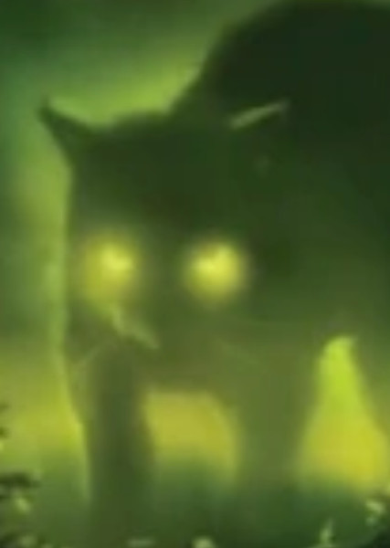 Ashfur (Warrior Cats) photo
