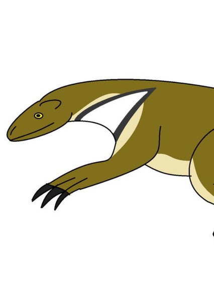 Ato the Shasta Ground Sloth photo