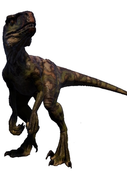 Atrociraptor photo