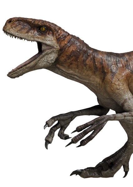 Atrociraptor photo