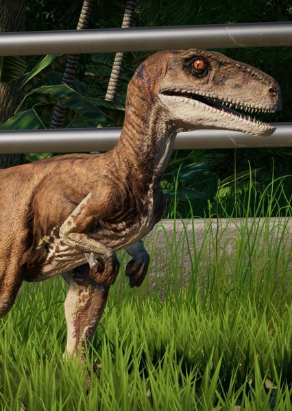 Atrociraptor