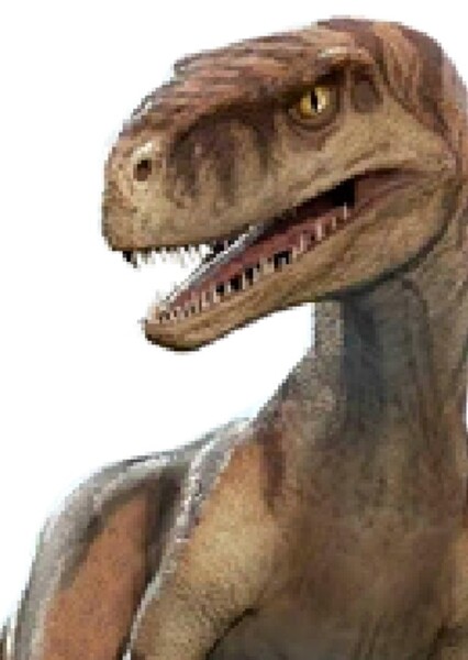 Atrociraptor (Jurassic World: Primal Ops)