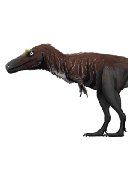 Aublysodon