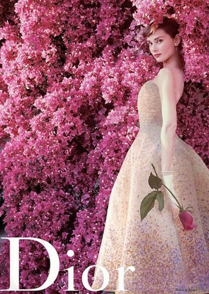 Audrey Hepburn photo